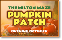Milton Maize Maze