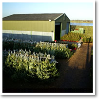 Rectory Farm Shop